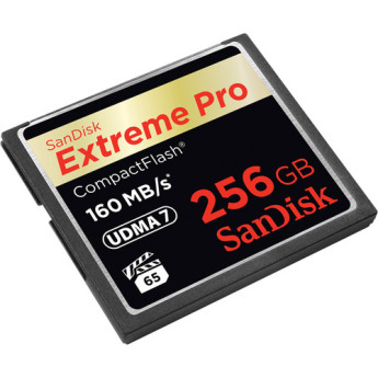 Sandisk sdcfxps 256g a46 2