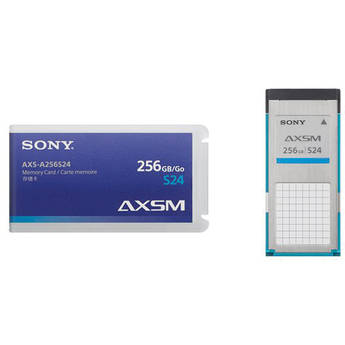 Sony axs a256s24 1