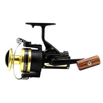 Daiwa bg20 1