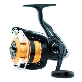 Daiwa swf4000 2b 1