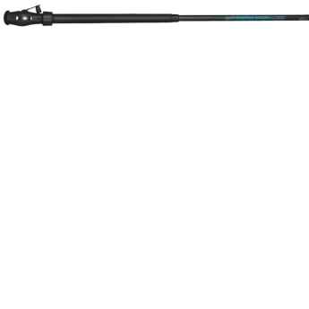 B&M Cadillac Pole/Reel Combo 10Ft 2 Sect, FCDC102