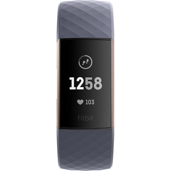 Fitbit fb409rggy 2