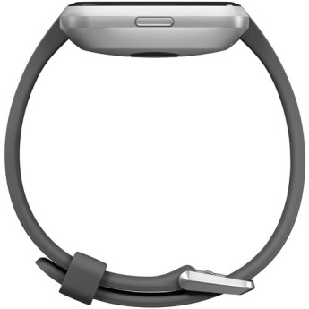 Fitbit fb415srgy 4