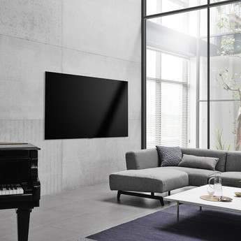 Lg oled55a1pua 29