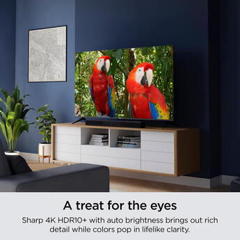 Roku 65r4a5r 5