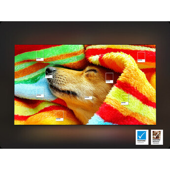 Samsung qn75qn900ffxza 13