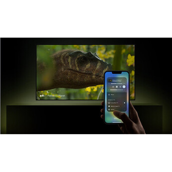 Sony BRAVIA 7 II 55" 4K HDR Smart True RGB Mini-LED TV — thumbnail 40