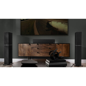 Definitive technology Dymension DM20 2-Way Center Channel Speaker — thumbnail 13