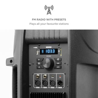 Ion audio ipa122a 12