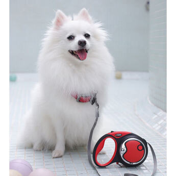 Dogness Retractable Large Leash Package - Red — thumbnail 5