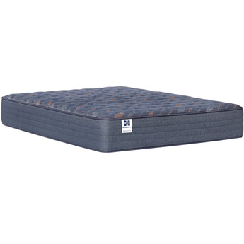 Coral Creek Special Edition Spring Firm Queen Mattress