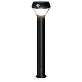 ring Solar Pathway Light - Black