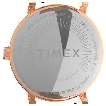 Timex tw2v31200 3