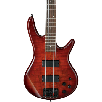 Ibanez gsr205smcnb 1