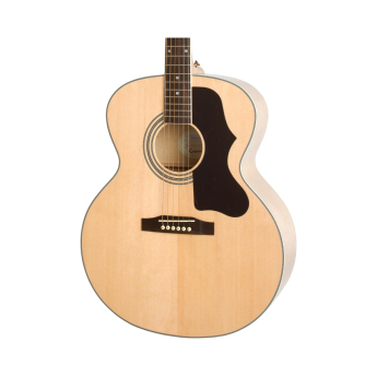 Epiphone eaeananh3 1