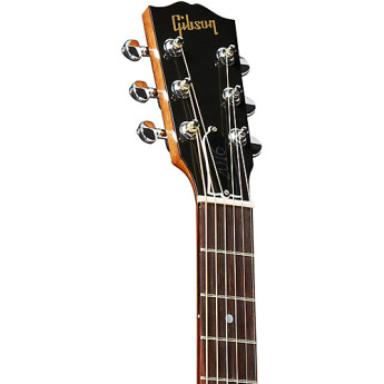 Gibson lsaeannp1 5