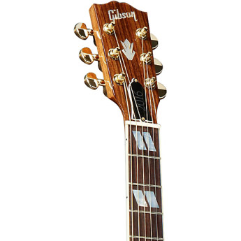 Gibson sssdrngp1 5
