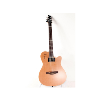 Godin 30293 1