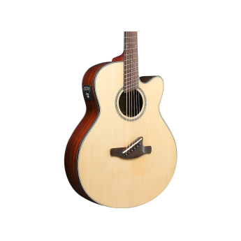 Ibanez aelff10nt 1