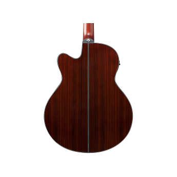 Ibanez aelff10nt 2