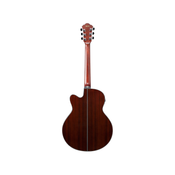 Ibanez aelff10nt 4