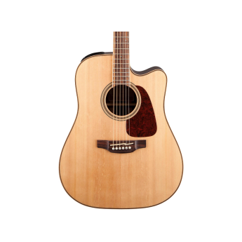 Takamine takgd93cenat 1