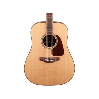 Takamine takgd93nat 1