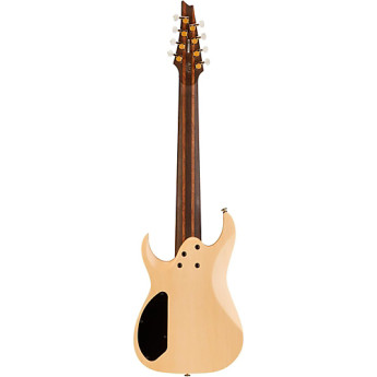 Ibanez tam100 2