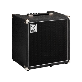 Ampeg ba110 2