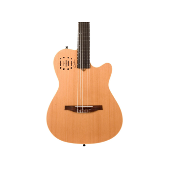 Godin 35045 1