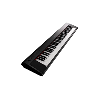 Yamaha np32b 3