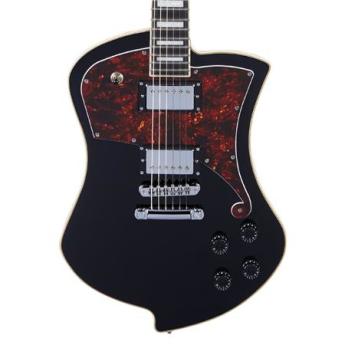 D angelico guitars dapludsbkcs 3