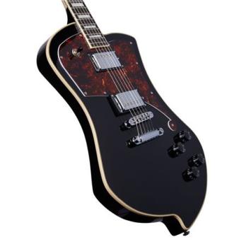 D angelico guitars dapludsbkcs 4