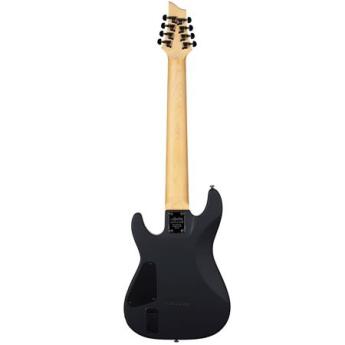 Schecter 3663 10