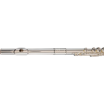 Pearl flutes pf500 2
