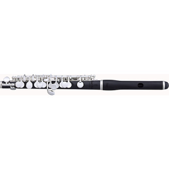 Pearl flutes pfp105es 1