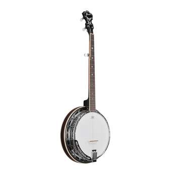 Ibanez Limited Edition BA250 250th Anniversary Banjo (Natural High Gloss) — thumbnail 3