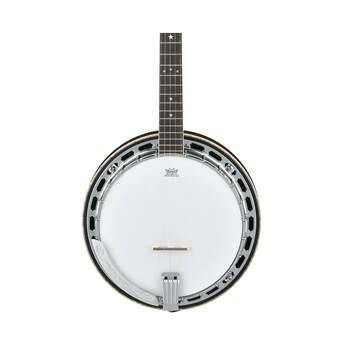 Ibanez Limited Edition BA250 250th Anniversary Banjo (Natural High Gloss) — thumbnail 4