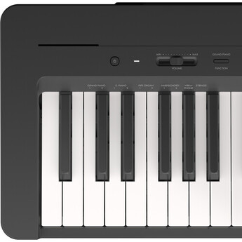 Yamaha p143b 12