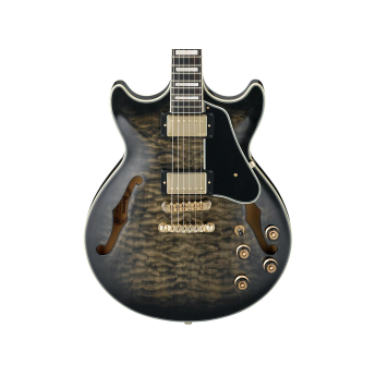 Ibanez am93tks 1