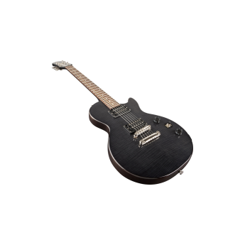 Epiphone ens2tbnh3 4