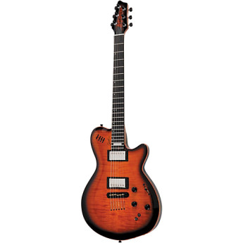 Godin 24087 3