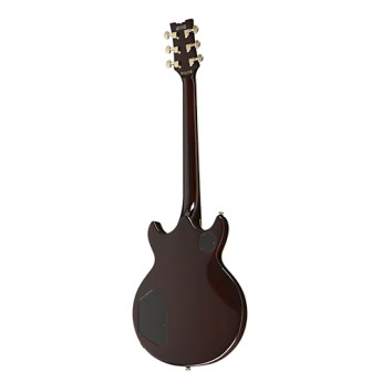 Ibanez ar320vb 7