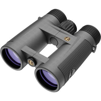Leupold 8x42 BX-4 Pro Guide HD Binocular (Shadow Gray)