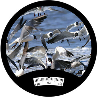 Steiner 7x50 C Navigator Pro Binocular with Compass — thumbnail 3