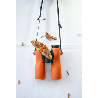Swarovski Optik 12x42 NL Pure Binoculars (Burnt Orange) — thumbnail 7