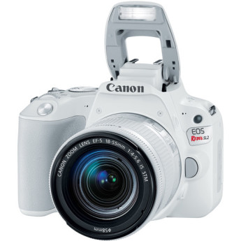 Canon 2252c001 2