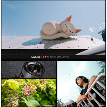 7artisans 24mm f/1.8 AF Lens (Nikon Z) — thumbnail 12