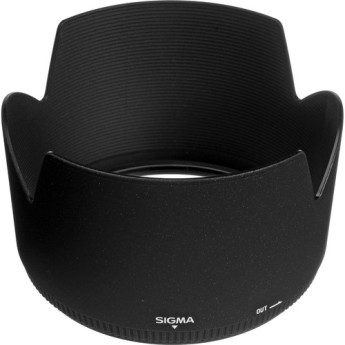 Sigma 738101 6