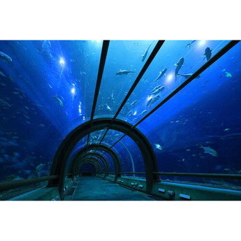 Canon RF-S 10-18mm f/4.5-6.3 IS STM Lens (Canon RF) — thumbnail 16